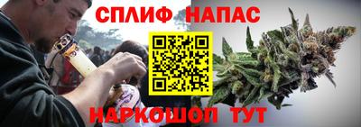 индика Кунгур